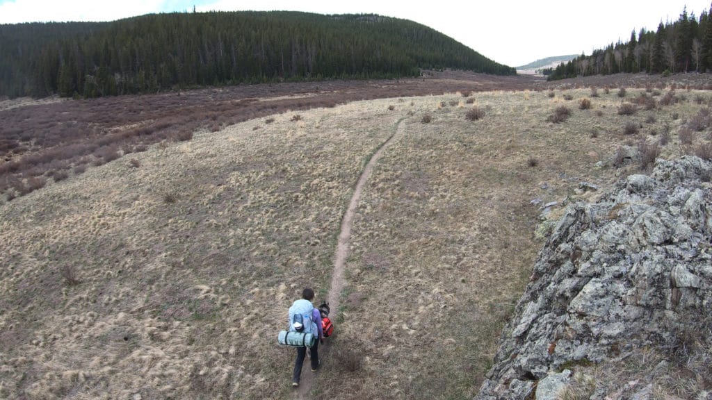 Colorado Trail Segment 4 Hike Information & Review