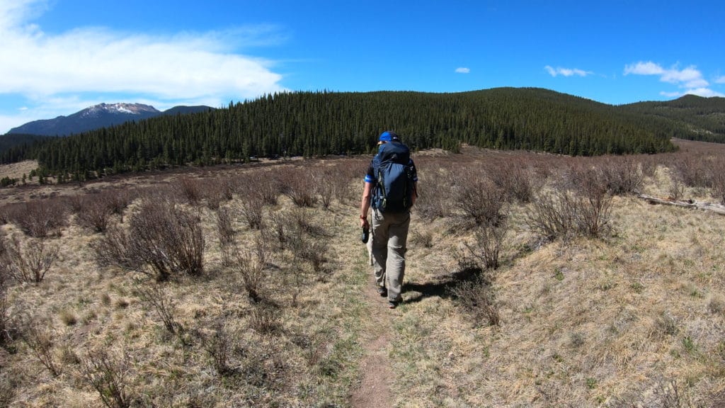 Colorado Trail Segment 4 Hike Information & Review