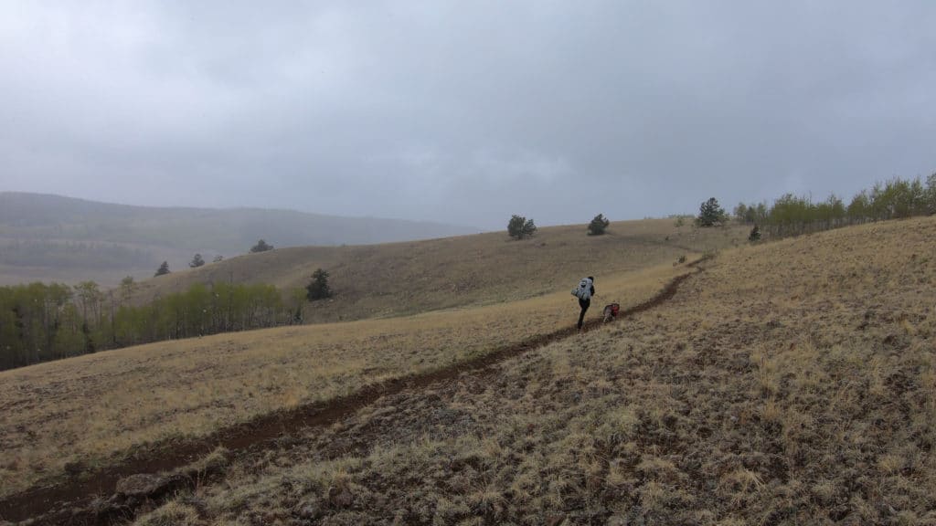 Colorado Trail Segment 5 Hike Information & Review
