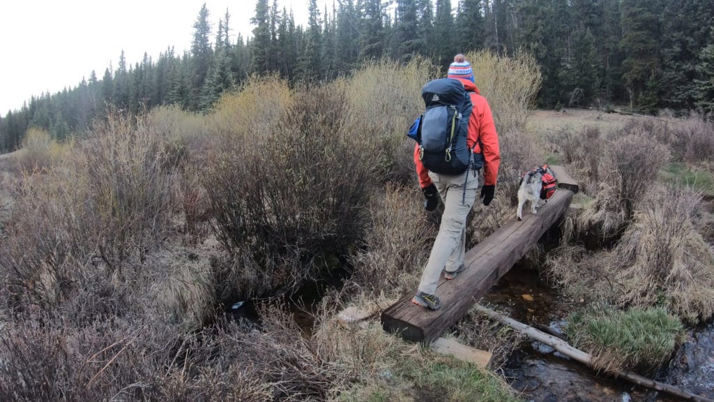 Colorado Trail Segment 5 Hike Information & Review