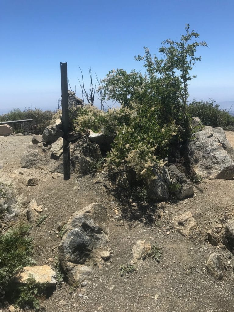 San Gabriel Peak California Trail Guide