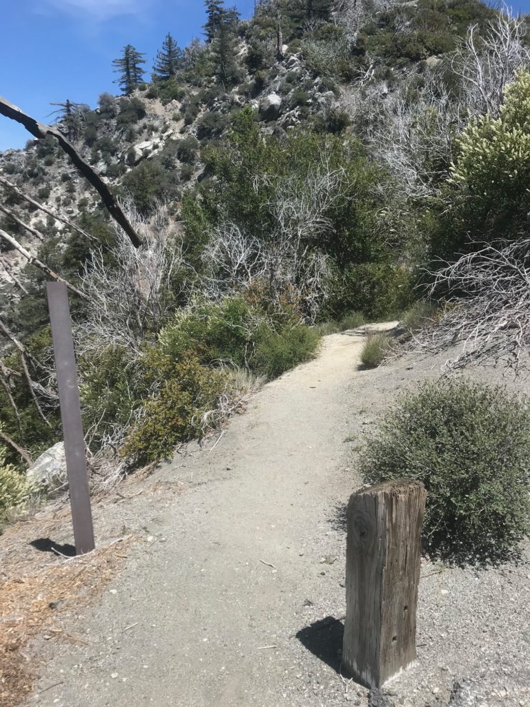 San Gabriel Peak California Trail Guide