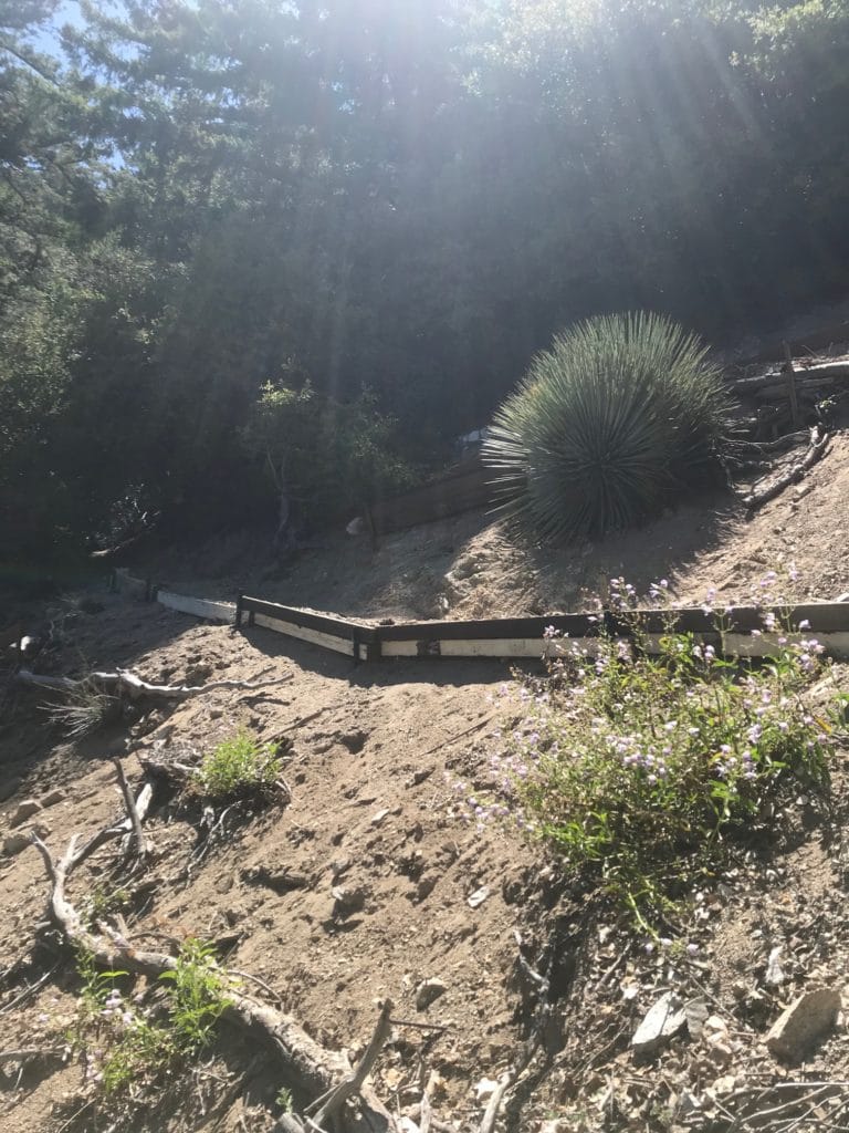 San Gabriel Peak California Trail Guide