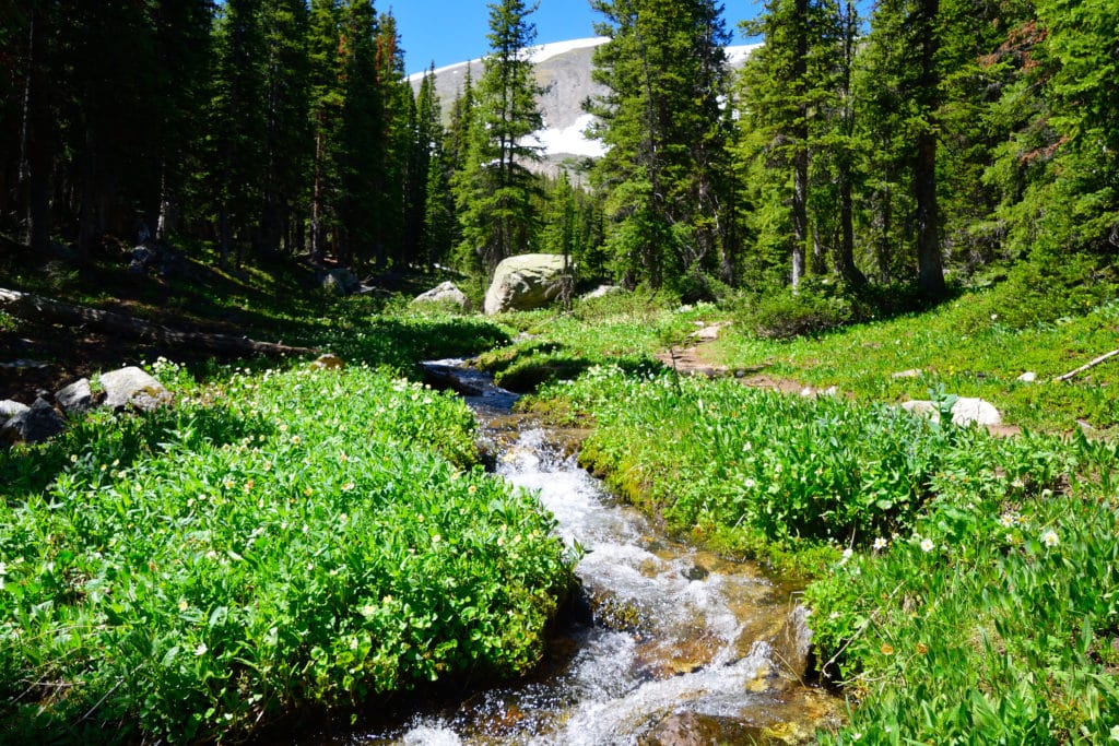 Colorado Trail Segment 7 Hike Trail Guide