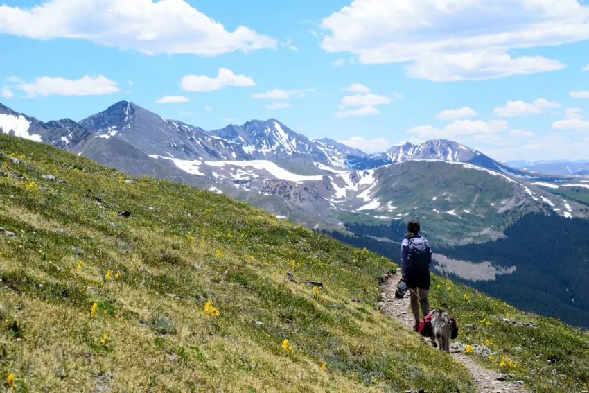 Colorado Trail Segment 7 Hike Trail Guide