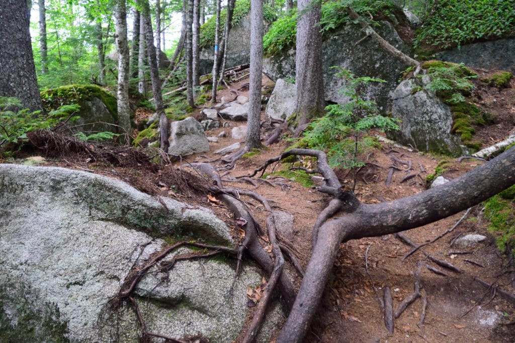 Maine Ice Caves Hike Trail Guide