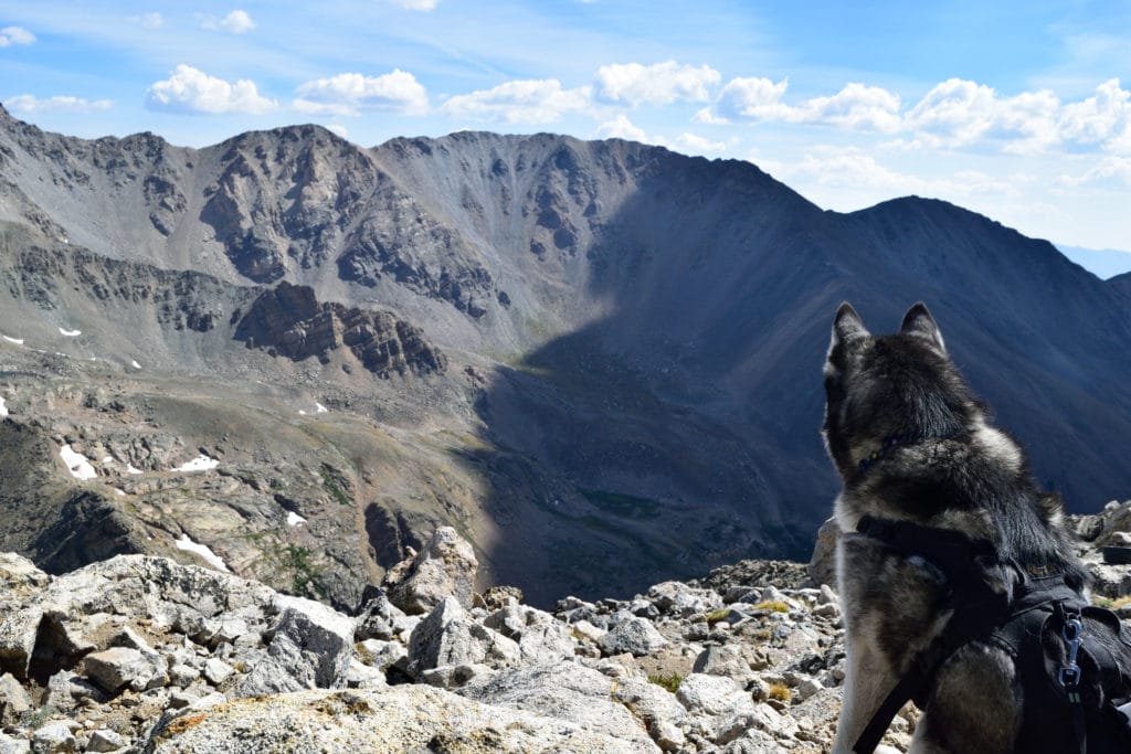 Mount Oklahoma 13er Hike Guide