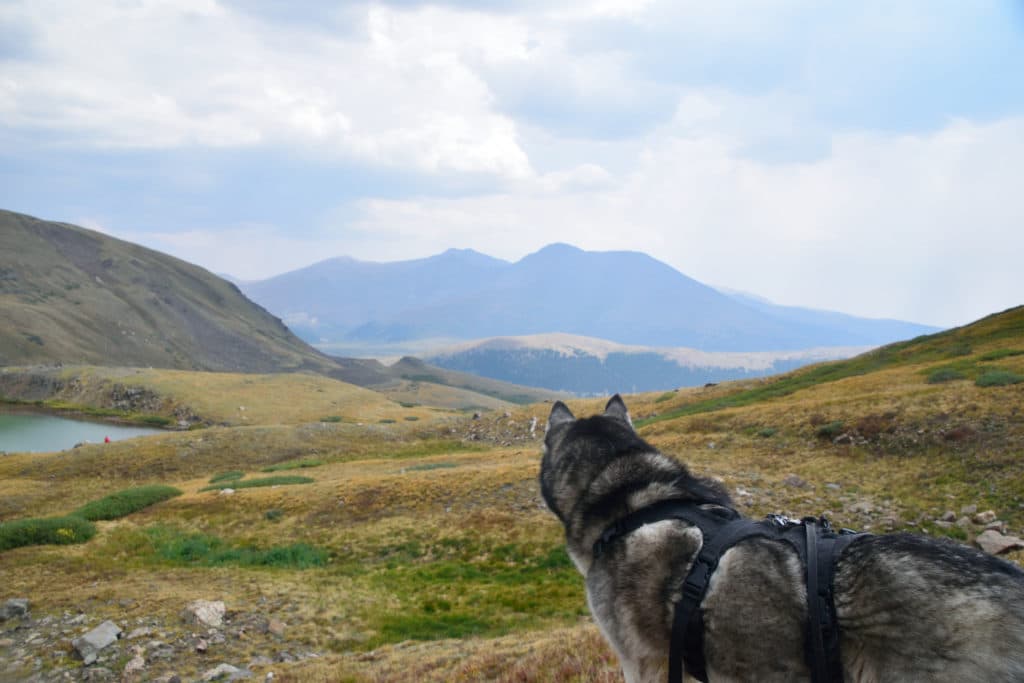 Square Top Lakes Hike Trail Guide