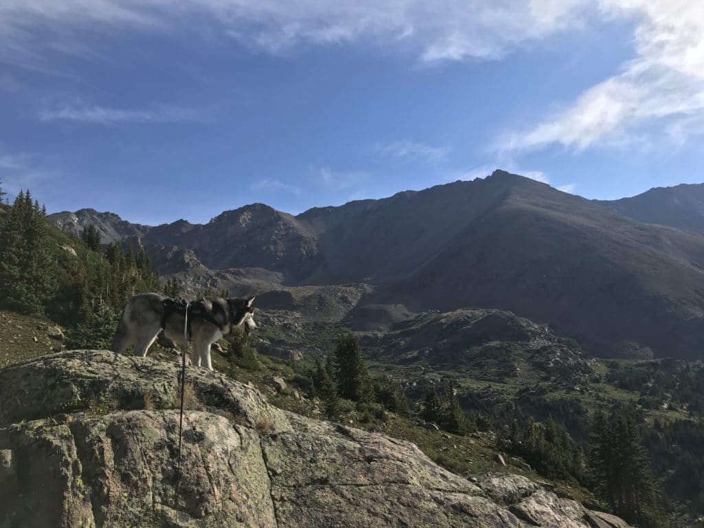 Mount Oklahoma 13er Hike Guide