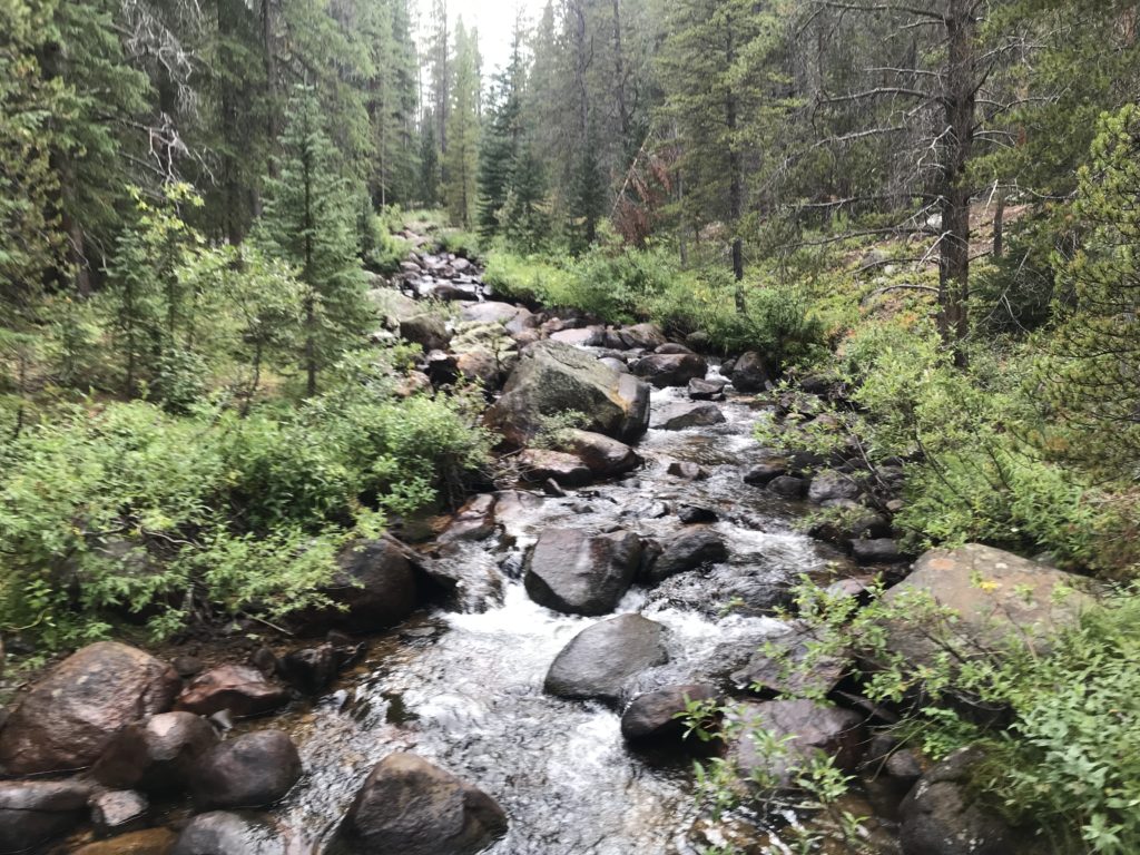 Colorado Trail Segment 10 Hike Trail Guide