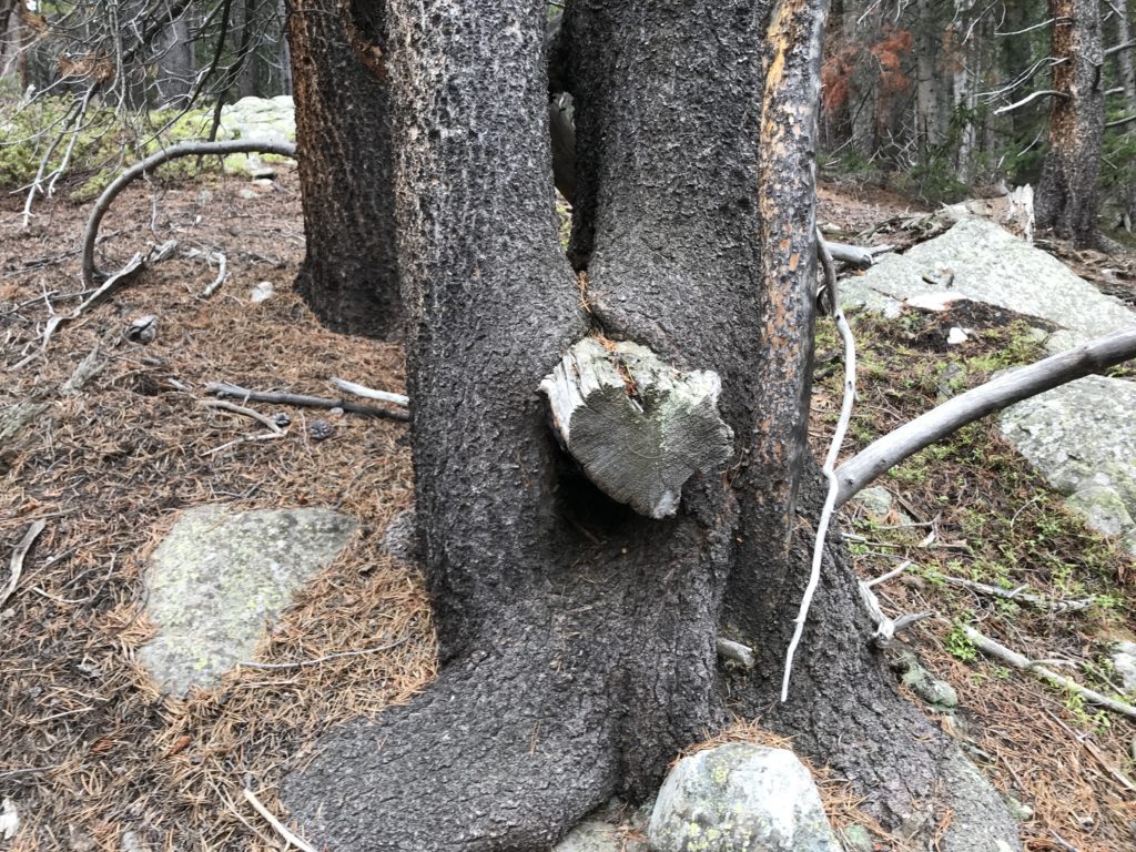 Colorado Trail Segment 10 Hike Trail Guide