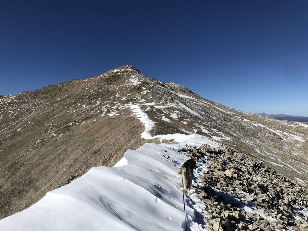 Dyer Mountain Trail Guide