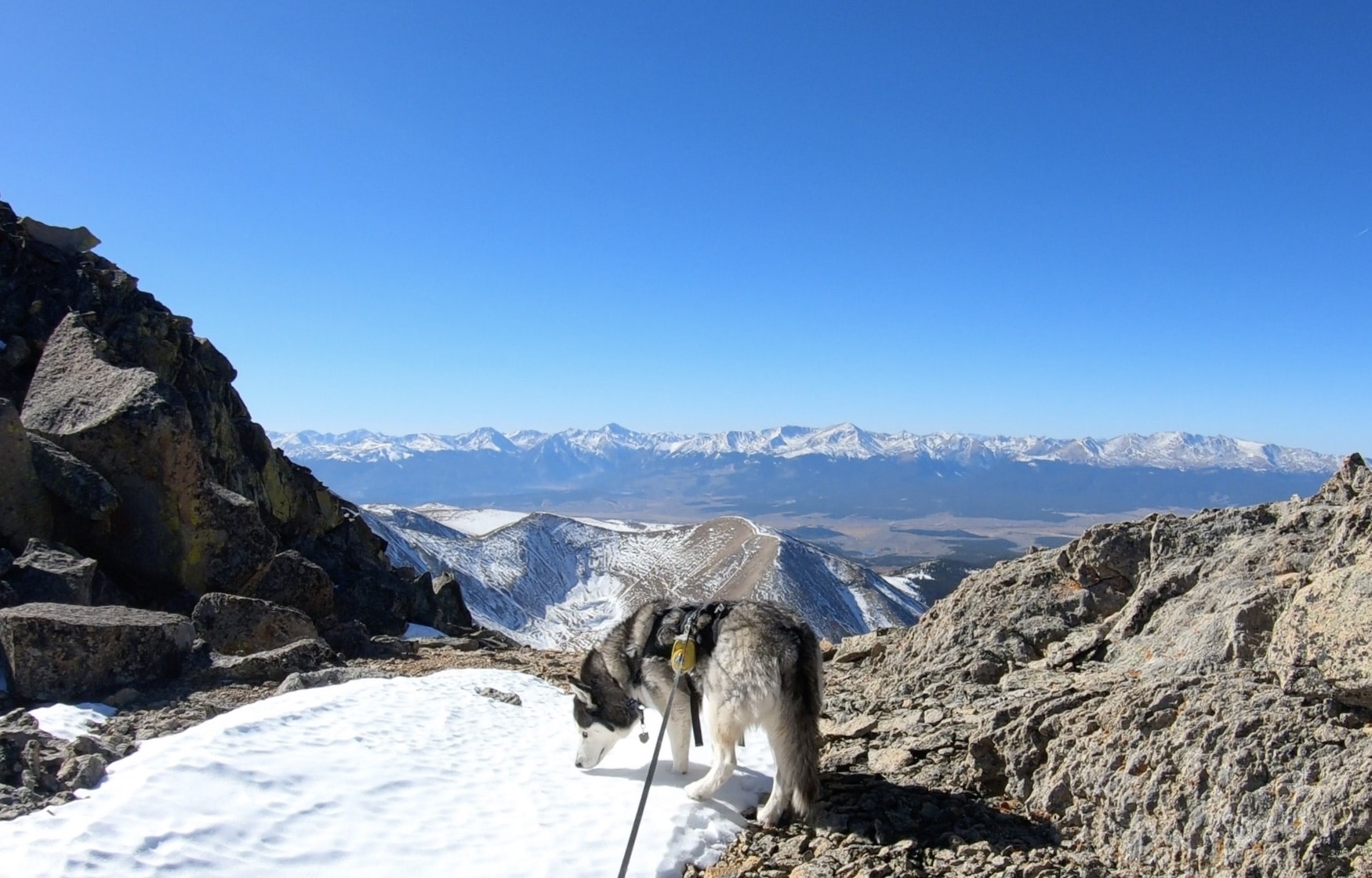 Dyer Mountain 13er Hike Trail Guide Virtual Sherpa