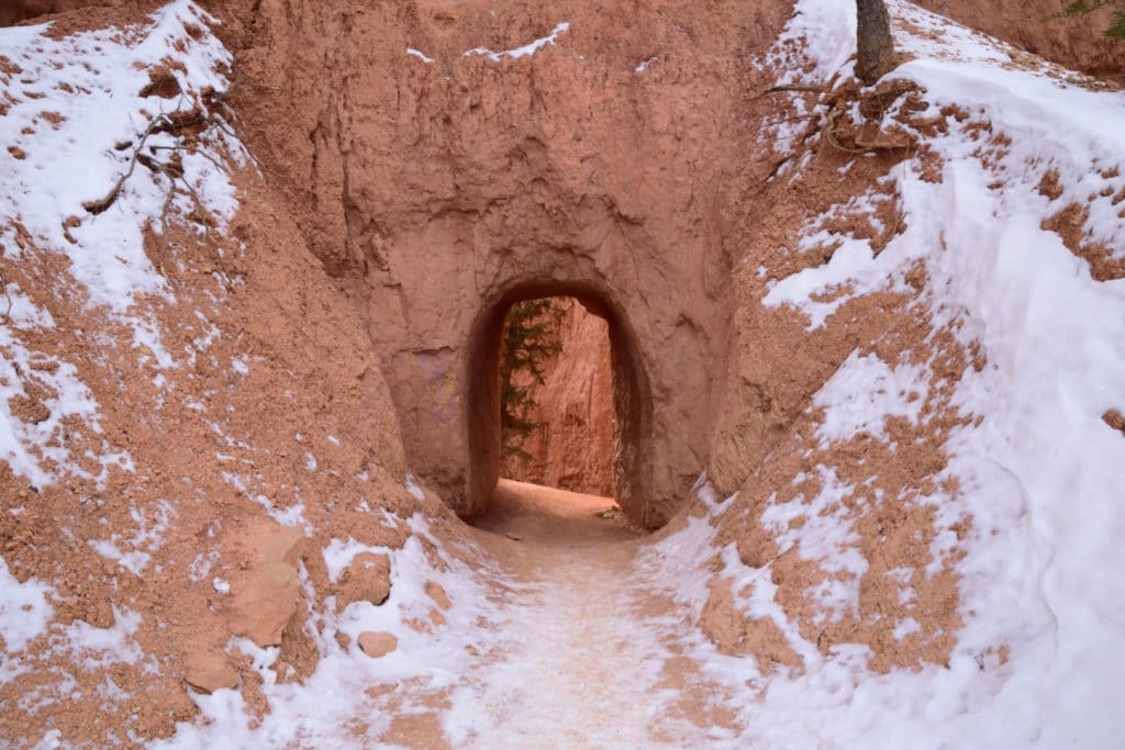 Bryce Canyon National Park National Park Hikes Information & Tips