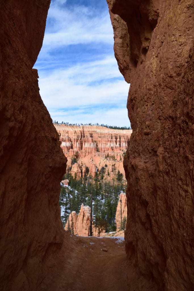 Bryce Canyon National Park National Park Hikes Information & Tips