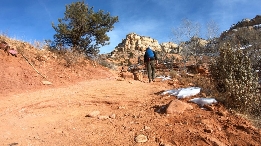 Lower Calf Creek Falls Hike Guide