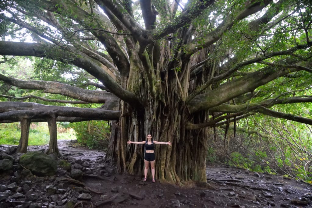 Pipiwai Trail Maui Hike Pictures