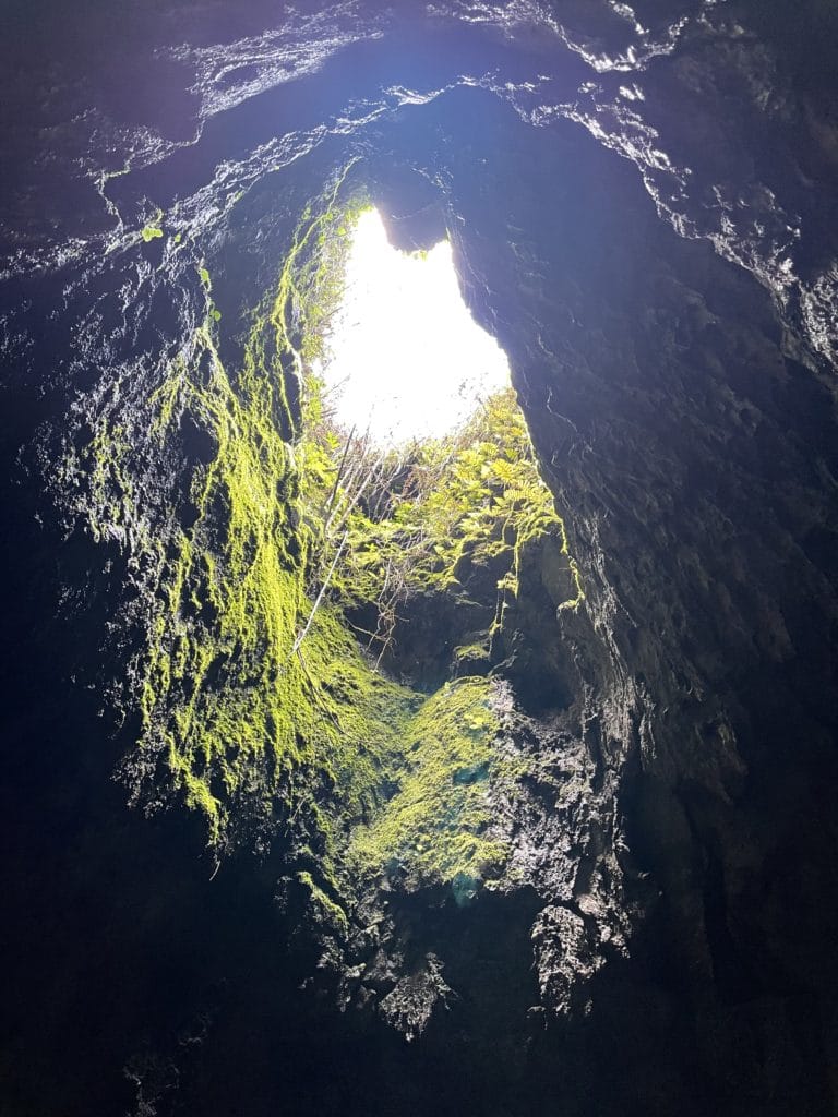 Hana Lava Tube Hike Pictures