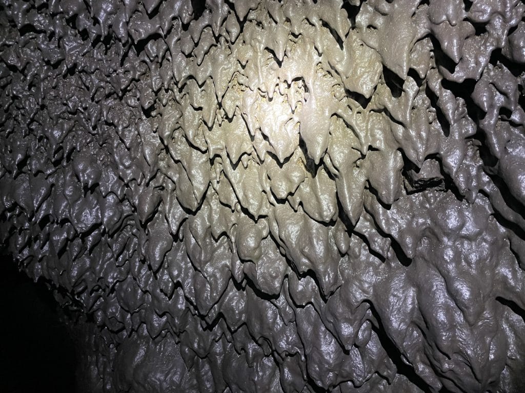 Hana Lava Tube Hike Pictures