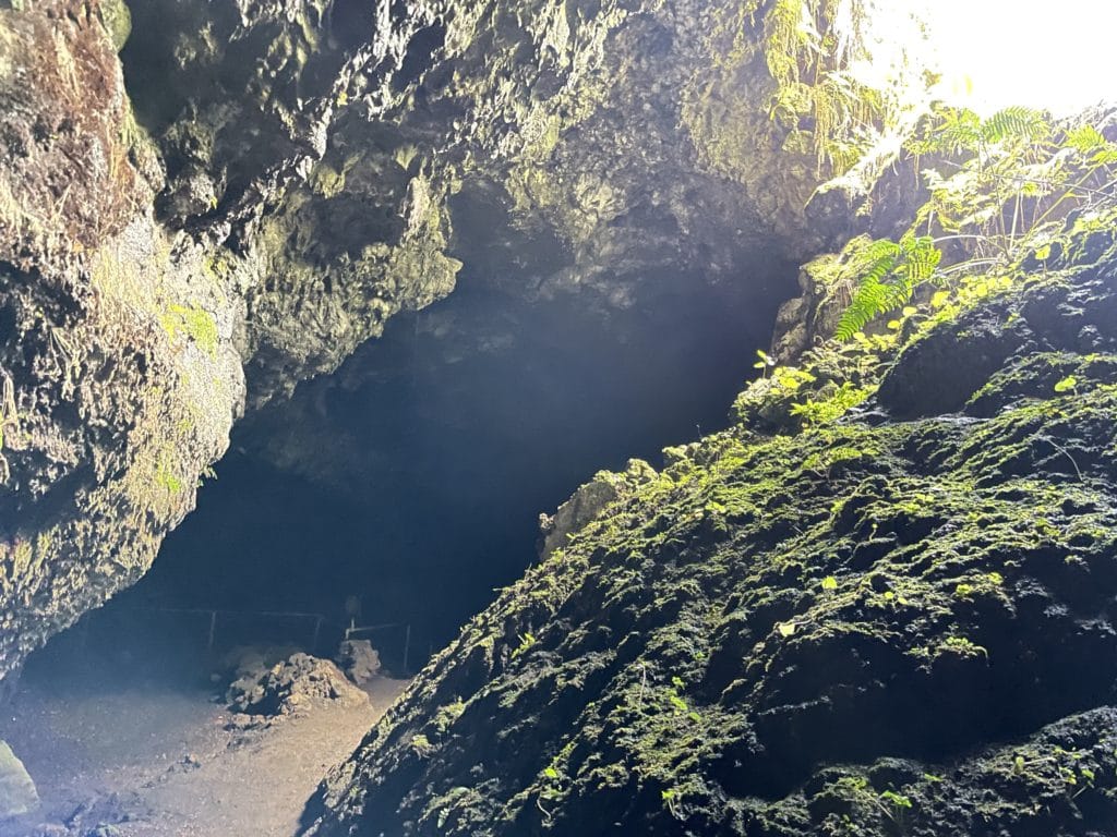 Hana Lava Tube Hike Pictures