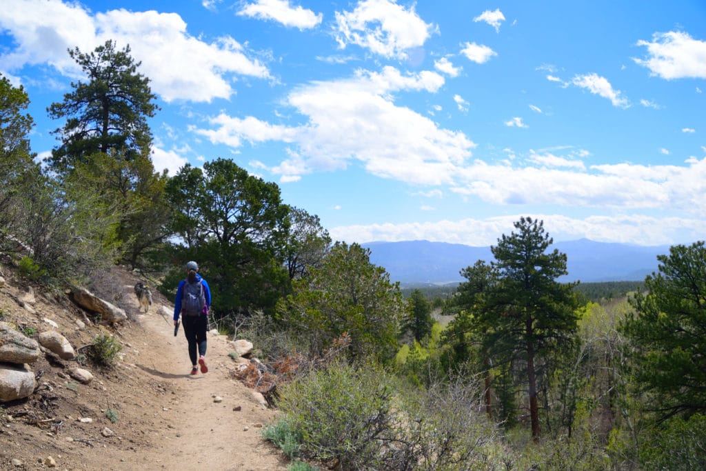 Browns Creek Falls Hike Pictures