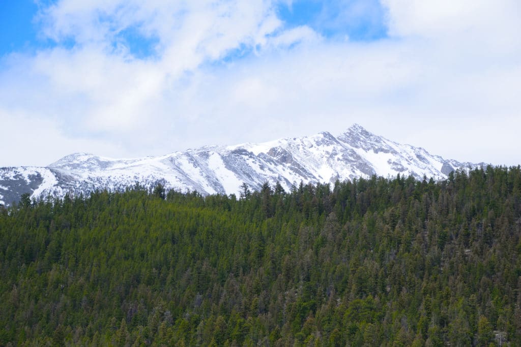 Browns Creek Falls Hike Pictures