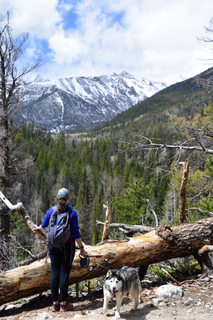 Browns Creek Falls Hike Pictures