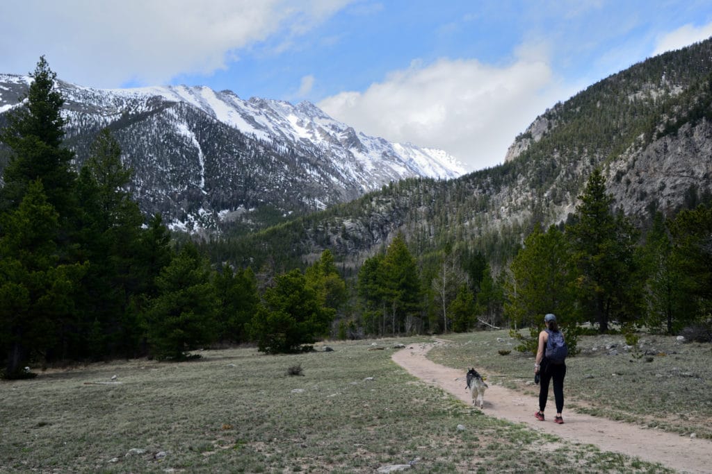 Browns Creek Falls Hike Pictures