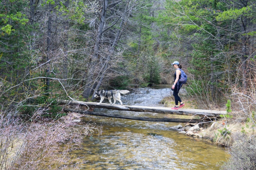 Browns Creek Falls Hike Pictures