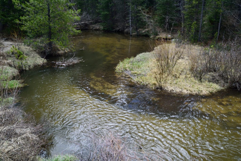 Browns Creek Falls Hike Pictures