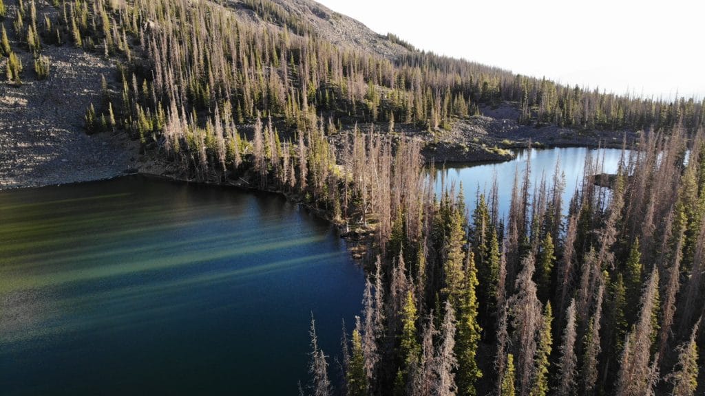 Colorado Trail Segments 16 & 17 Pictures