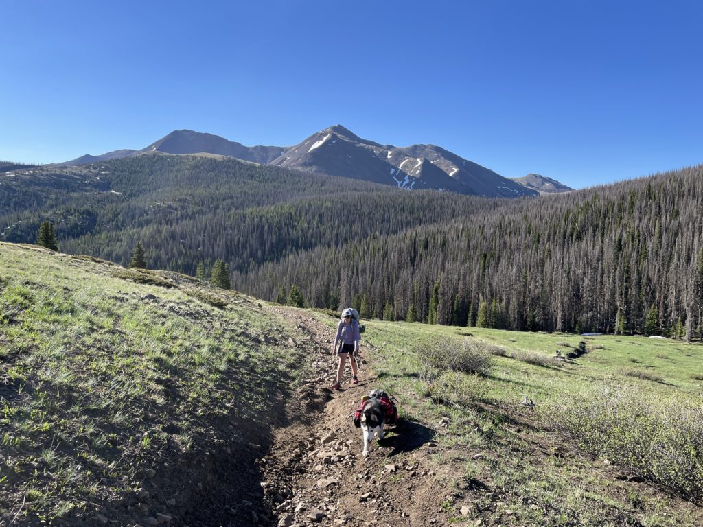 Colorado Trail Segments 16 & 17 Pictures