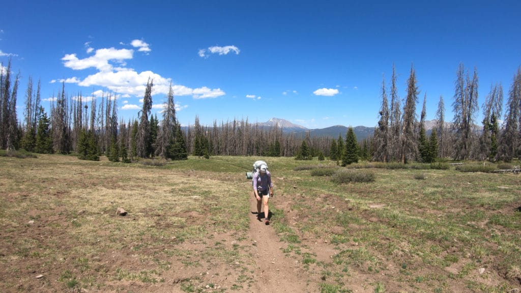 Colorado Trail Segments 16 & 17 Pictures