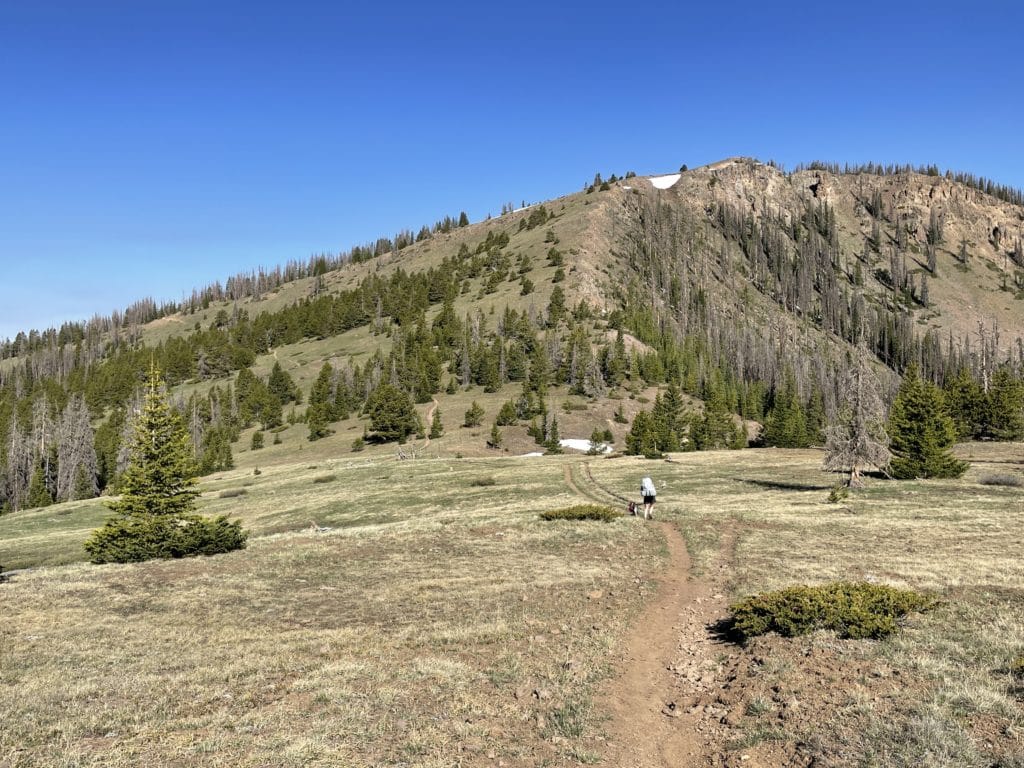 Colorado Trail Segments 16 & 17 Pictures