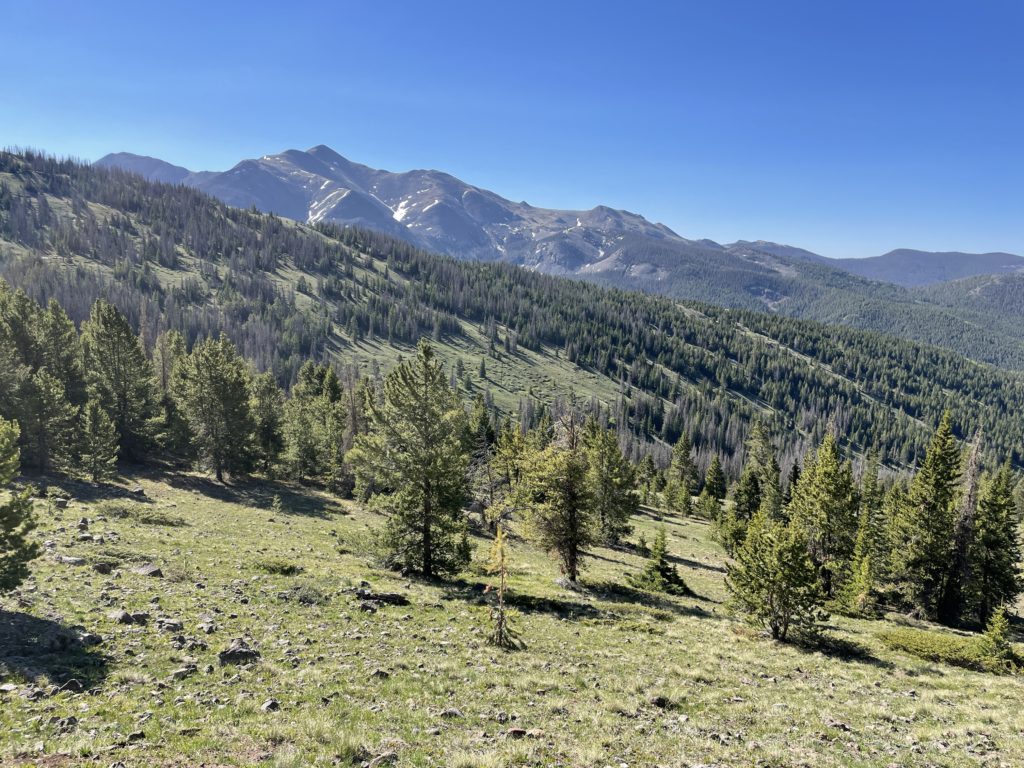 Colorado Trail Segments 16 & 17 Pictures