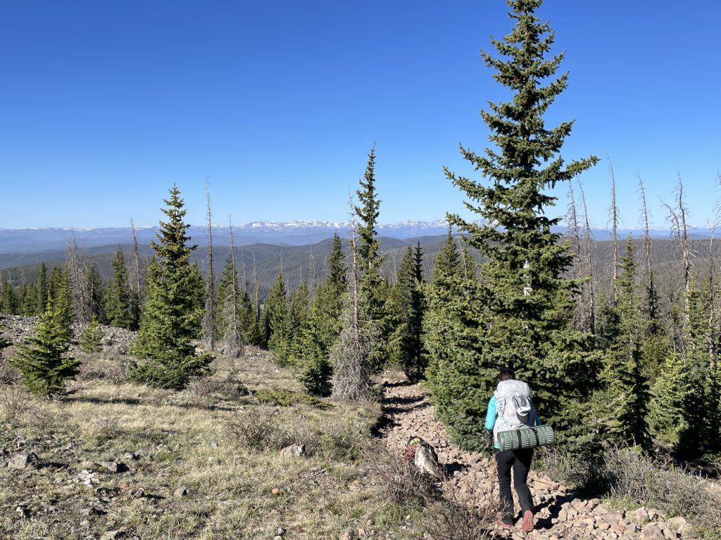Colorado Trail Segments 16 & 17 Pictures