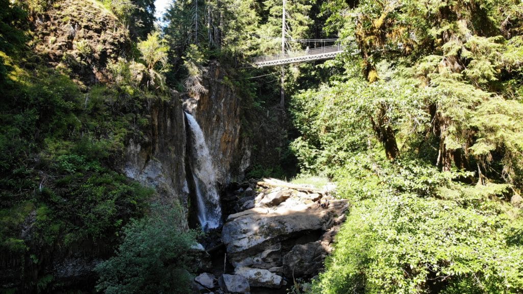 Drift Creek Falls Hike Pictures