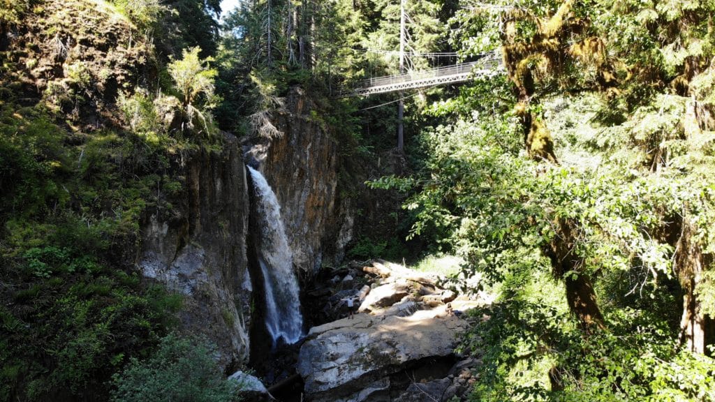 Drift Creek Falls Hike Pictures