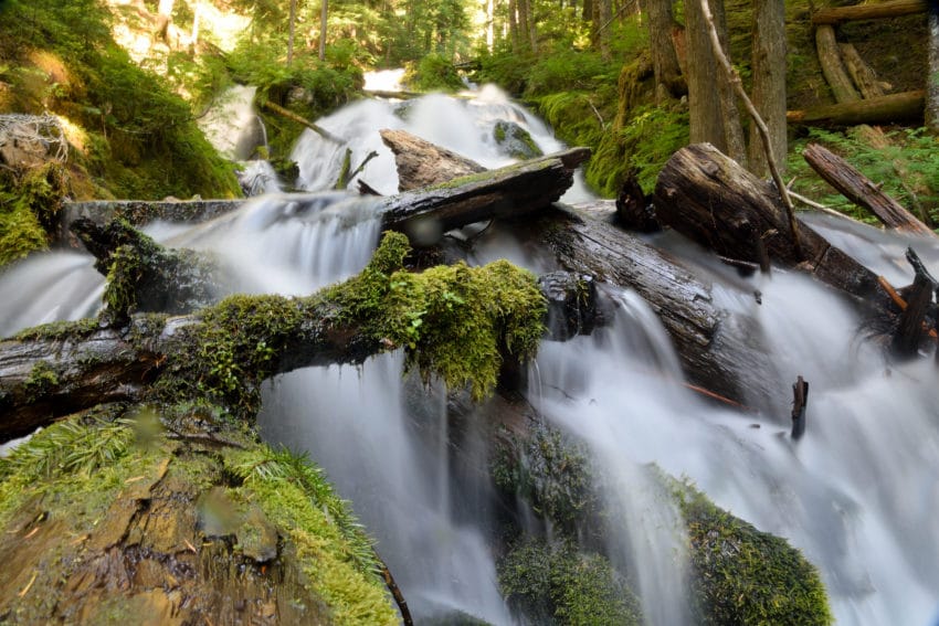 Little Zigzag Falls Oregon Hike Pictures