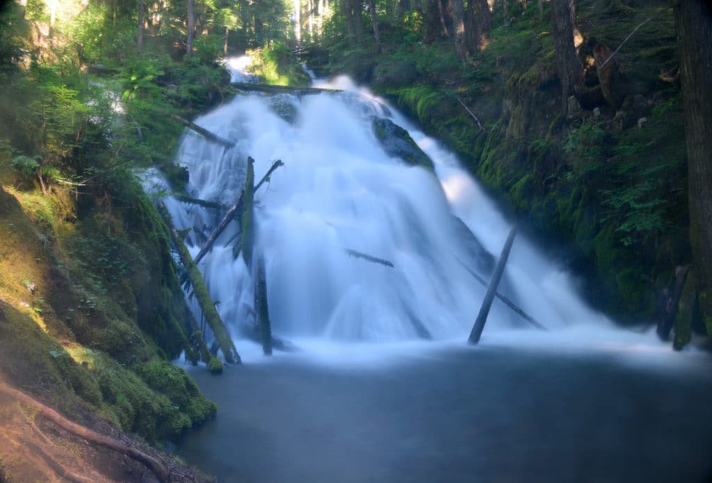 Little Zigzag Falls Oregon Hike Pictures