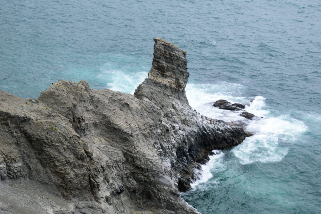 Cape Falcon Oregon Hike Pictures