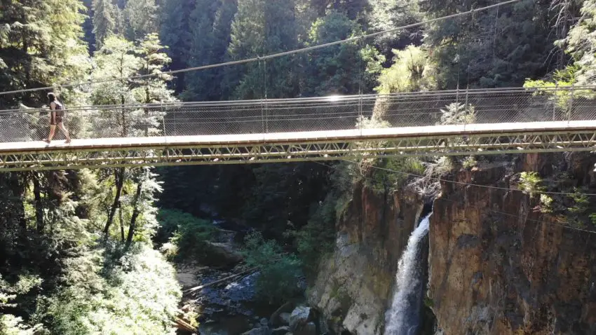 Drift Creek Falls Hike Pictures