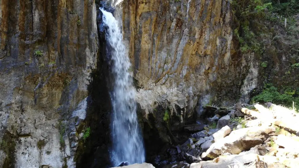 Drift Creek Falls Hike Pictures