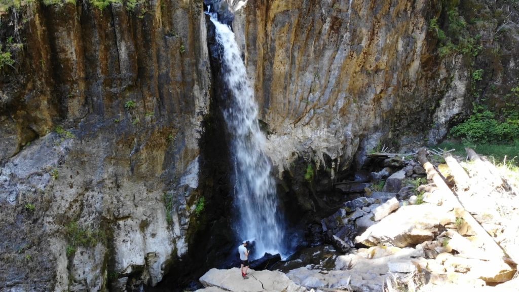 Drift Creek Falls Hike Pictures