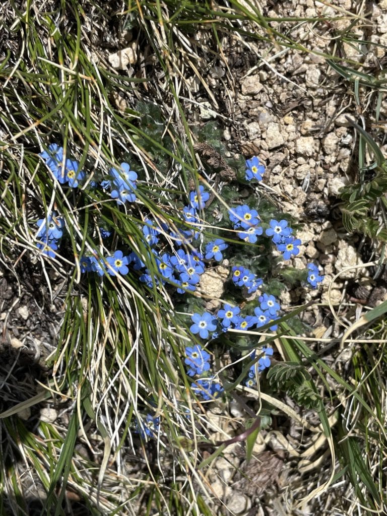 Emerald Peak Colorado 13er Hike Guide