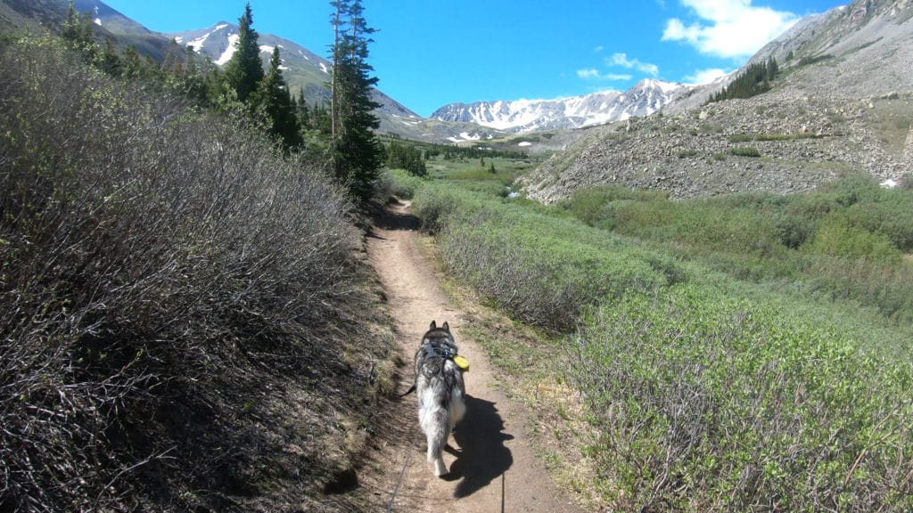 Emerald Peak Colorado 13er Hike Guide