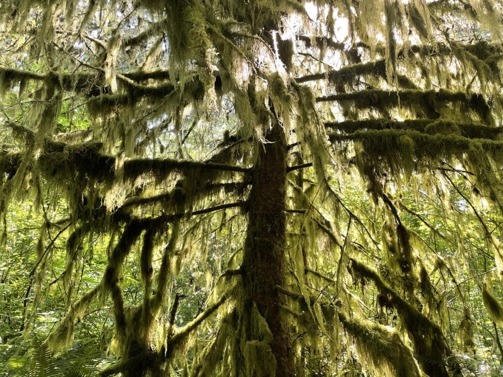 God's Thumb Hike Pictures