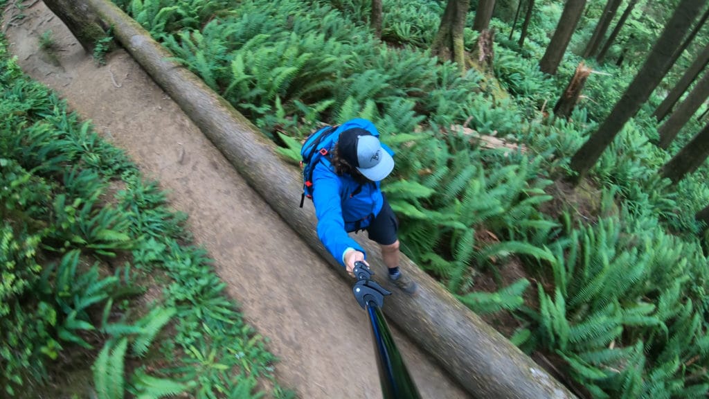 Cape Falcon Oregon Hike Pictures