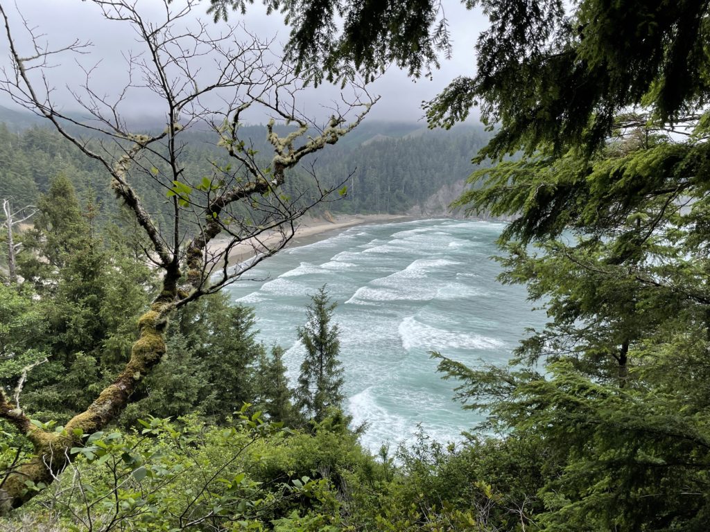 Cape Falcon Oregon Hike Pictures