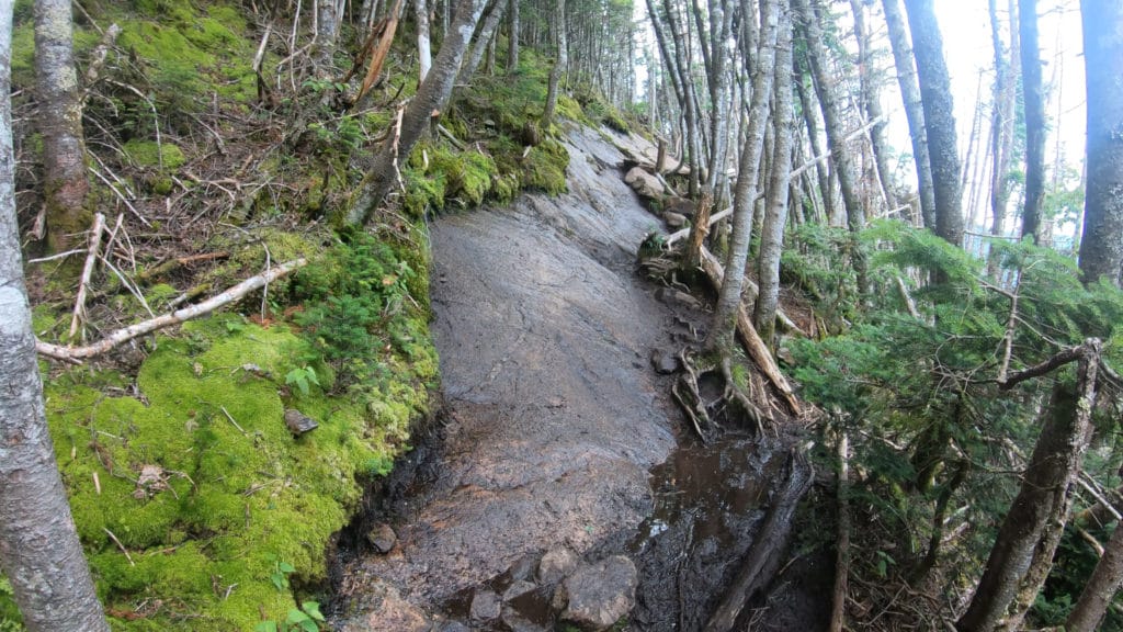 Presidential Traverse Hike Pictures